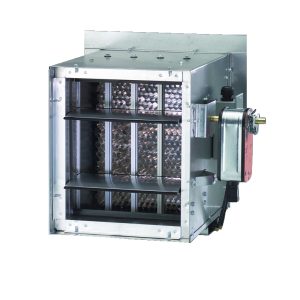 PRODUCTOS VERDES DE RUSKIN